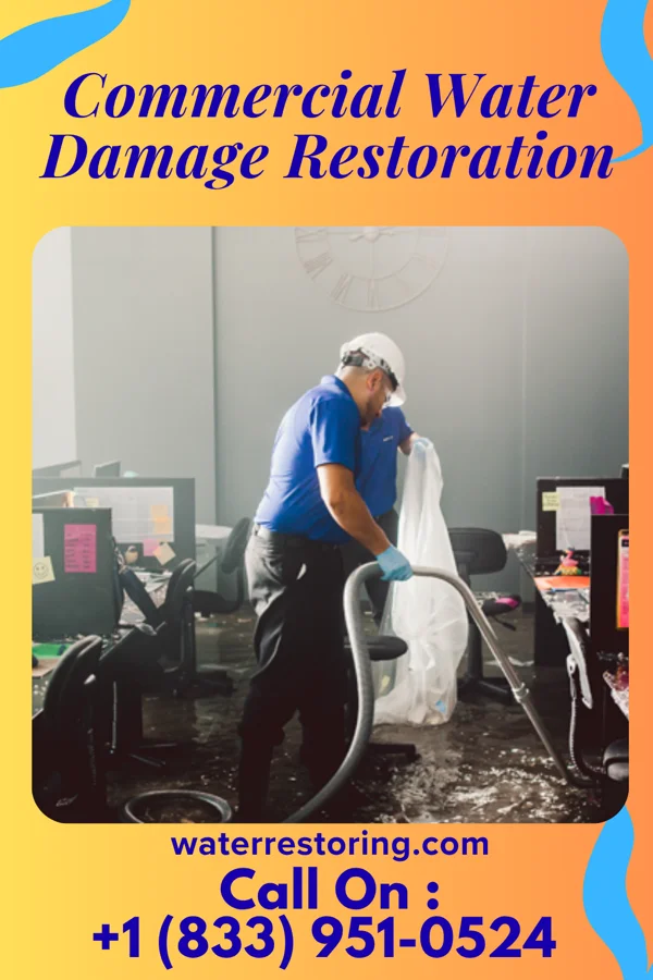 Commercial Water Damage Restoration in Columbus, MN