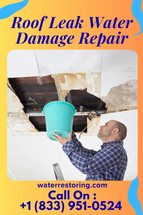 Roof Leak Water Damage Repair in Columbus, MN